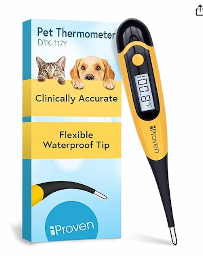 best overall dog thermometer from iProven